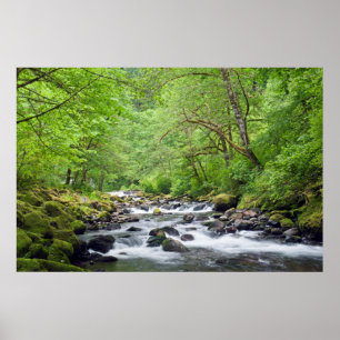 USA, Oregon, Columbia River Gorge, Tanner Creek 4 Poster