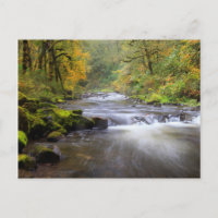 USA, Oregon, Columbia River Gorge, Tanner Creek