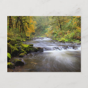 USA, Oregon, Columbia River Gorge, Tanner Creek Postkarte