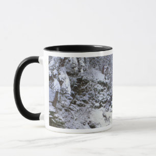USA, Oregon, Columbia River Gorge Tasse