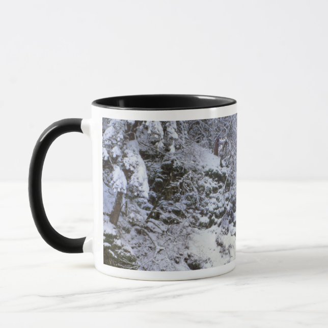 USA, Oregon, Columbia River Gorge Tasse (Links)