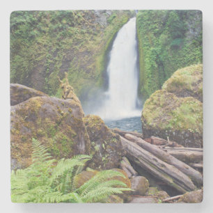 USA, Oregon, Columbia River Gorge, Wahclella Steinuntersetzer