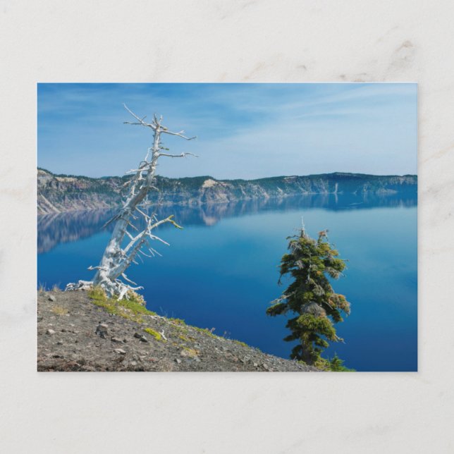 USA, Oregon, Crater Lake National Park 4 Postkarte (Vorderseite)
