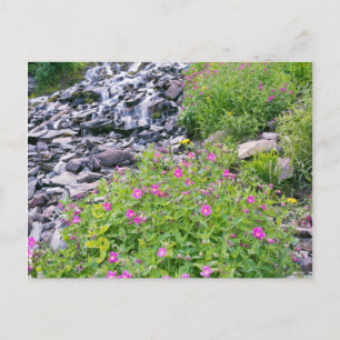 USA, Oregon, Crater Lake National Park Postkarte