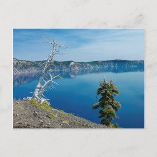USA, Oregon, Crater Lake Nationalpark 4 Postkarte