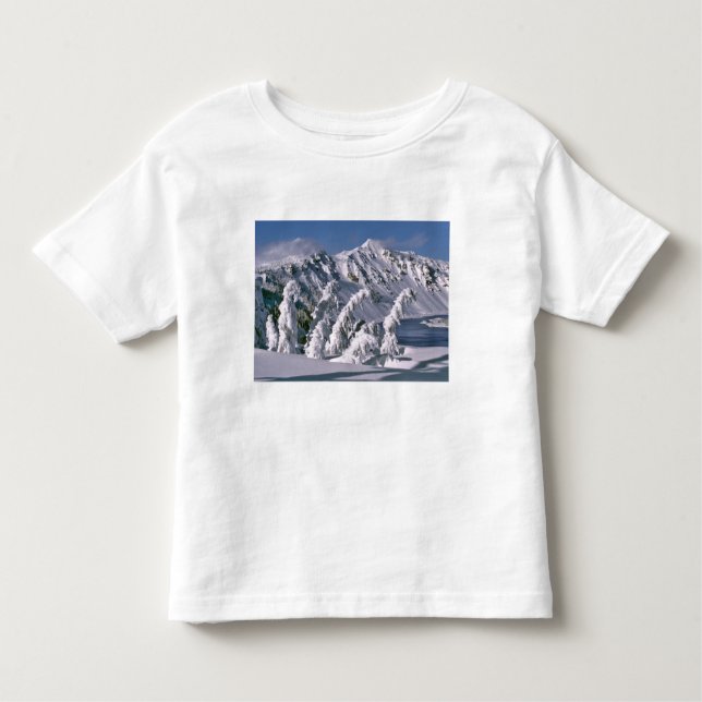 USA, Oregon, Crater Lake NP. Baumbogen unter der Kleinkind T-shirt (Vorderseite)