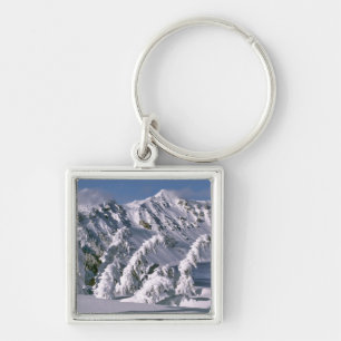USA, Oregon, Crater Lake NP. Baumbogen unter der Schlüsselanhänger