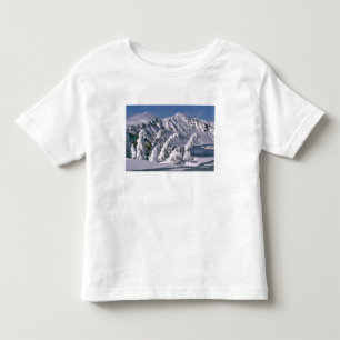 USA, Oregon, Crater-Lake-NP. Bäume biegen sich unt Kleinkind T-shirt