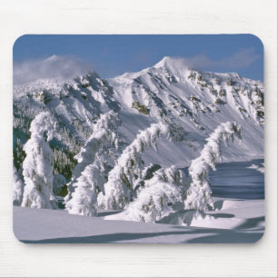 USA, Oregon, Crater-Lake-NP. Bäume biegen sich unt Mousepad