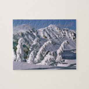 USA, Oregon, Crater-Lake-NP. Bäume biegen sich unt Puzzle