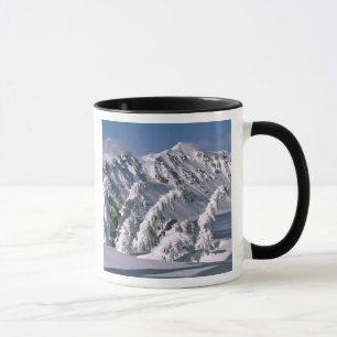 USA, Oregon, Crater Lake NP. Bäume biegen sich unt Tasse