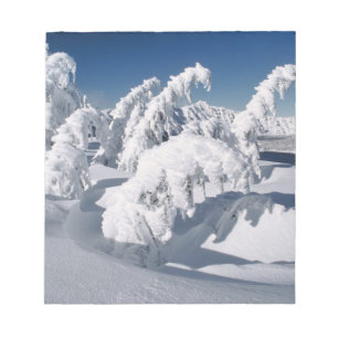 USA, Oregon, Crater-Lake-NP. Bäume hängen unter ei Notizblock