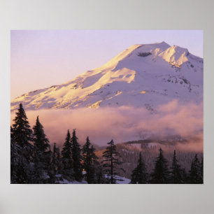 USA, Oregon, Deschutes National Forest, Die Poster