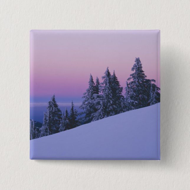 USA, Oregon, Deschutes National Forest, Dusk Button (Vorderseite)