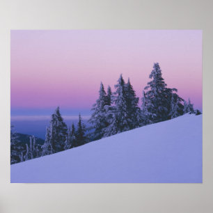USA, Oregon, Deschutes National Forest, Dusk Poster