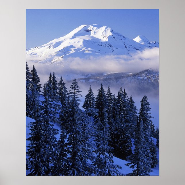 USA, Oregon, Deschutes National Forest, South Poster (Vorne)