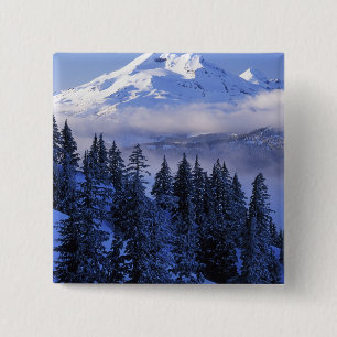 USA, Oregon, Deschutes National Forest, Süd Button