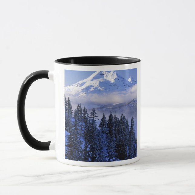 USA, Oregon, Deschutes National Forest, Süd Tasse (Links)