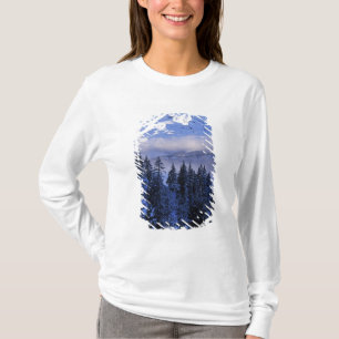 USA, Oregon, Deschutes National Forest, Süden T-Shirt