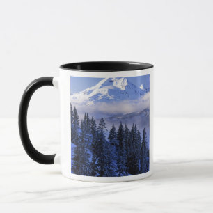 USA, Oregon, Deschutes National Forest, Süden Tasse