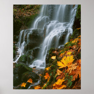 USA, Oregon, Fairy Falls, Columbia River Gorge Poster