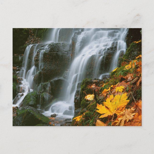 USA, Oregon, Fairy Falls, Columbia River Gorge Postkarte (Vorderseite)