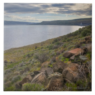 USA, Oregon, Gilliam County, Columbia River Fliese