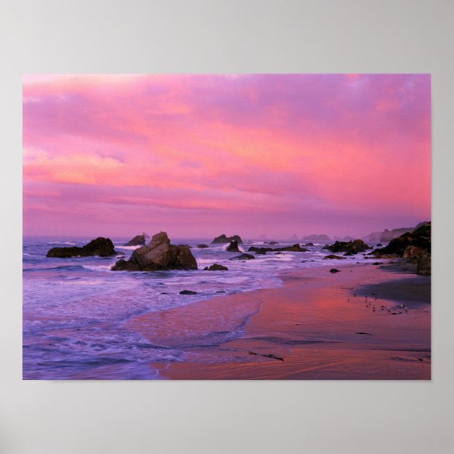 USA, Oregon, Harris Staat Beach, Brookings. Poster (Vorne)