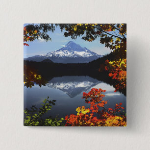 USA, Oregon, Hood National Forest. Button
