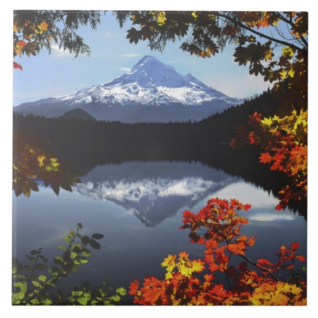 USA, Oregon, Hood National Forest. Fliese (Vorderseite)