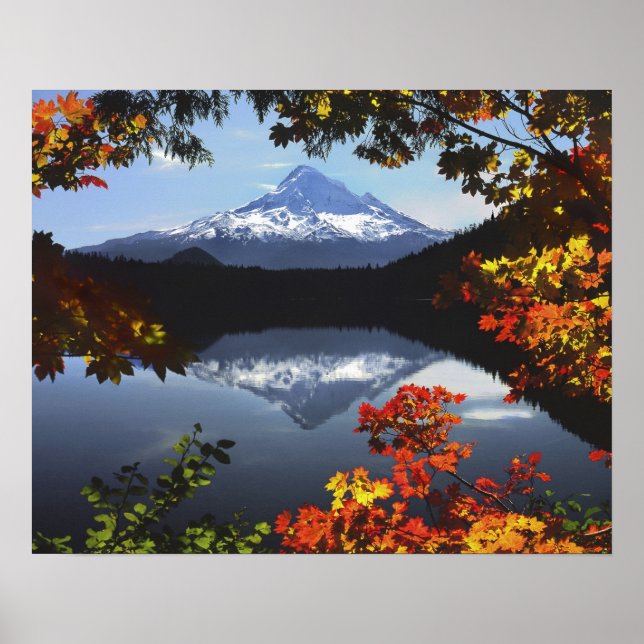 USA, Oregon, Hood National Forest. Poster (Vorne)