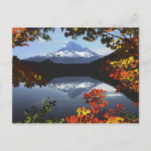 USA, Oregon, Hood National Forest. Postkarte