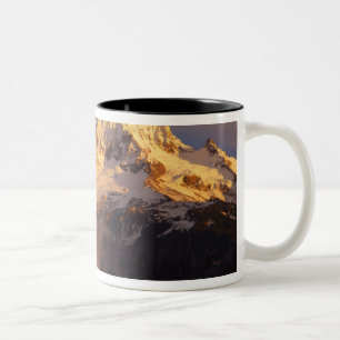USA, Oregon, Hood National Forest. Walzen Zweifarbige Tasse