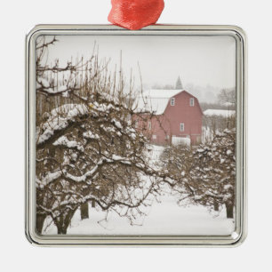 USA, Oregon, Hood River. Schnee bedeckter Apfel Ornament Aus Metall
