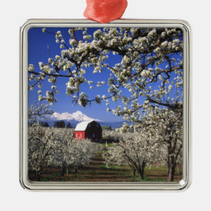 USA, Oregon, Hood River Valley, Birnbaumplantage Silbernes Ornament