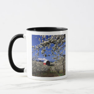 USA, Oregon, Hood River Valley, Birnbaumplantage Tasse