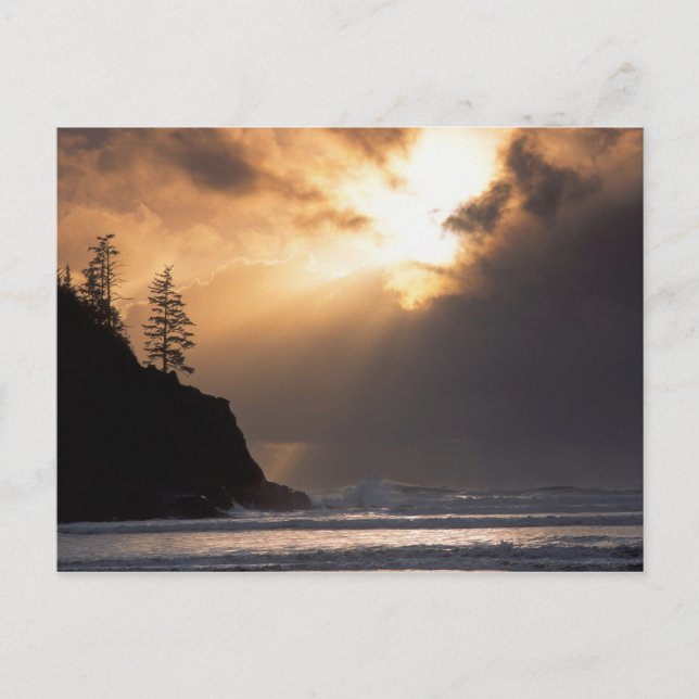 USA, Oregon, in der Nähe von Oswald West Staat Par Postkarte (Vorderseite)