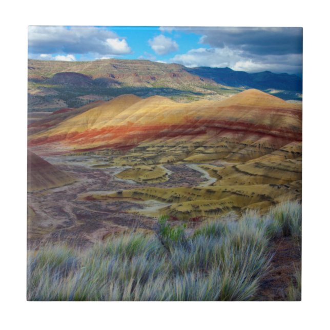 USA, Oregon. Landschaft der gestrichenen Hügel Fliese (Vorderseite)
