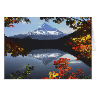 USA, Oregon, Mt. Hood National Forest.