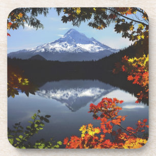 USA, Oregon, Mt. Hood National Forest. Getränkeuntersetzer