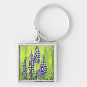USA, Oregon, Mt. Hood National Forest, Lupine Schlüsselanhänger