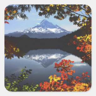 USA, Oregon, Mt. Hood National Forest. Quadratischer Aufkleber