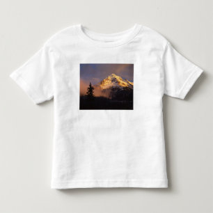 USA, Oregon, Mt. Hood National Forest. Rollend Kleinkind T-shirt