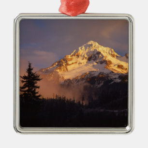 USA, Oregon, Mt. Hood National Forest. Rollend Ornament Aus Metall
