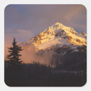 USA, Oregon, Mt. Hood National Forest. Rollend Quadratischer Aufkleber