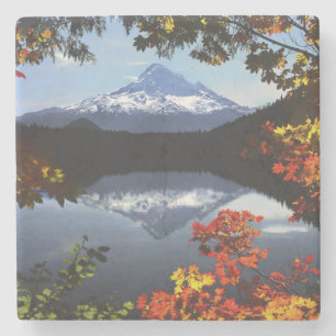 USA, Oregon, Mt. Hood National Forest. Steinuntersetzer