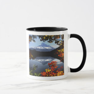 USA, Oregon, Mt. Hood National Forest. Tasse
