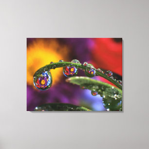 USA, Oregon, Nahen abstrakten von lila Leinwanddruck