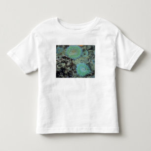 USA, Oregon, Nepture SP. Juwelenfarbenes Meer Kleinkind T-shirt
