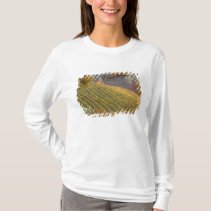 USA, Oregon, Newberg. Weinberg im Herbst. T-Shirt